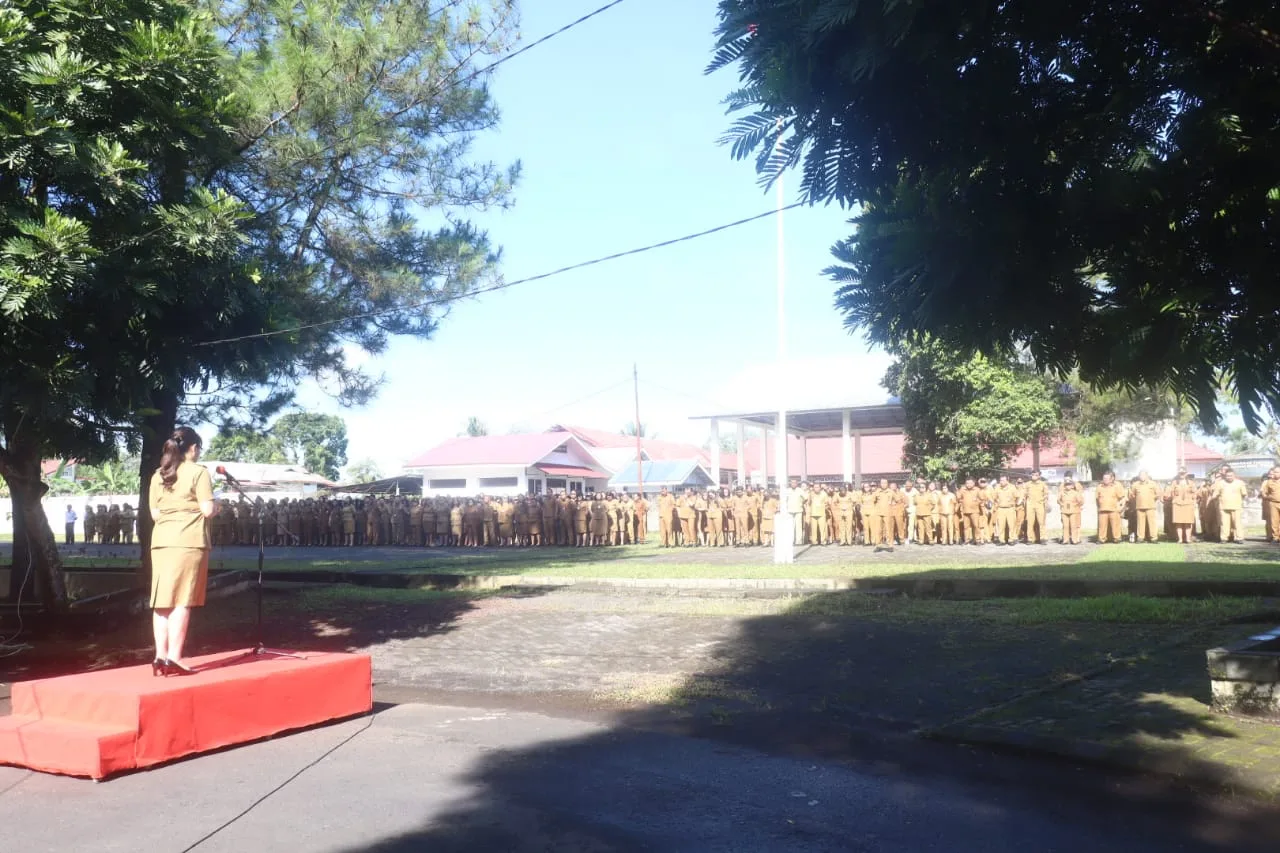 IMG-20250508-WA0001
