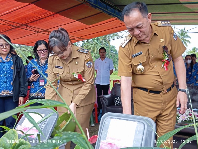 IMG_20250617_120935_copy_800x602