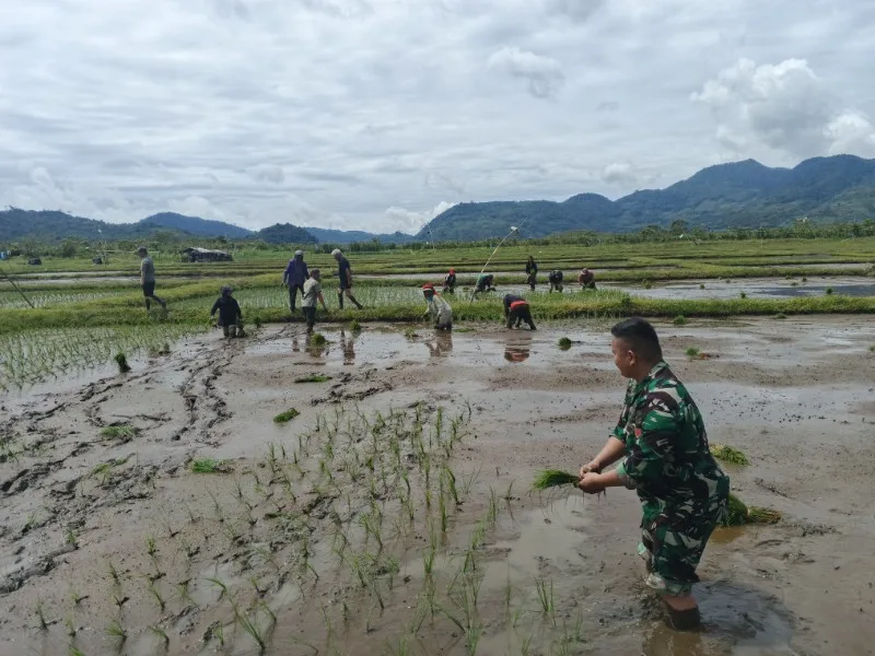 IMG-20260209-WA0134_copy_800x600